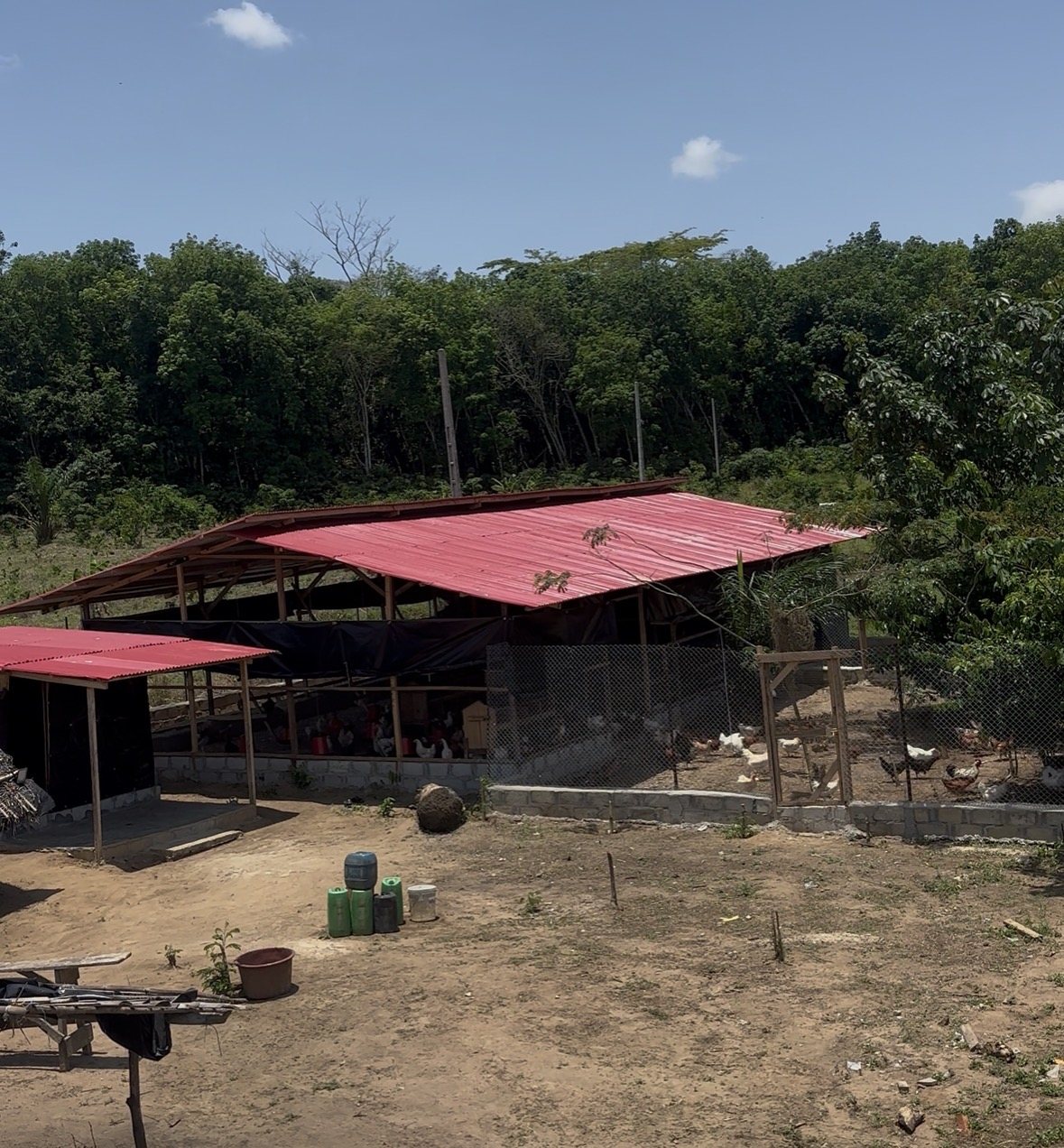 Vue extérieure des bâtiments de la ferme